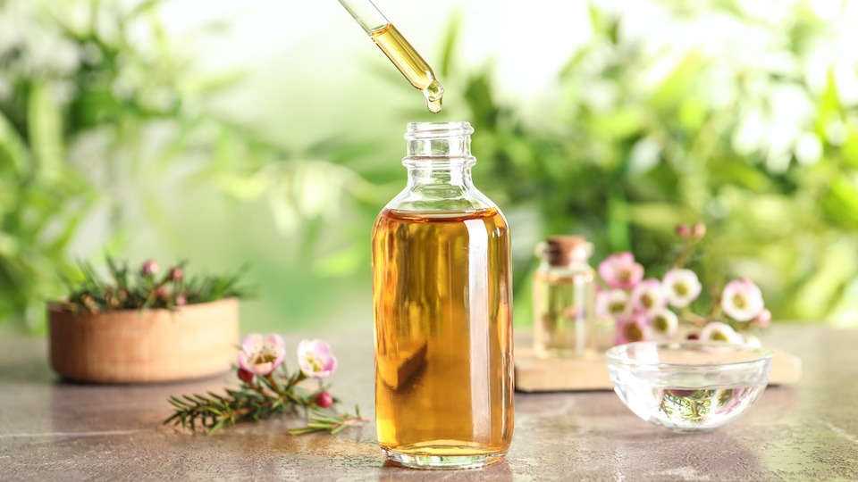 Why Everyone Should Have A Bottle Of Tea Tree Oil In Their Home: Especially Now